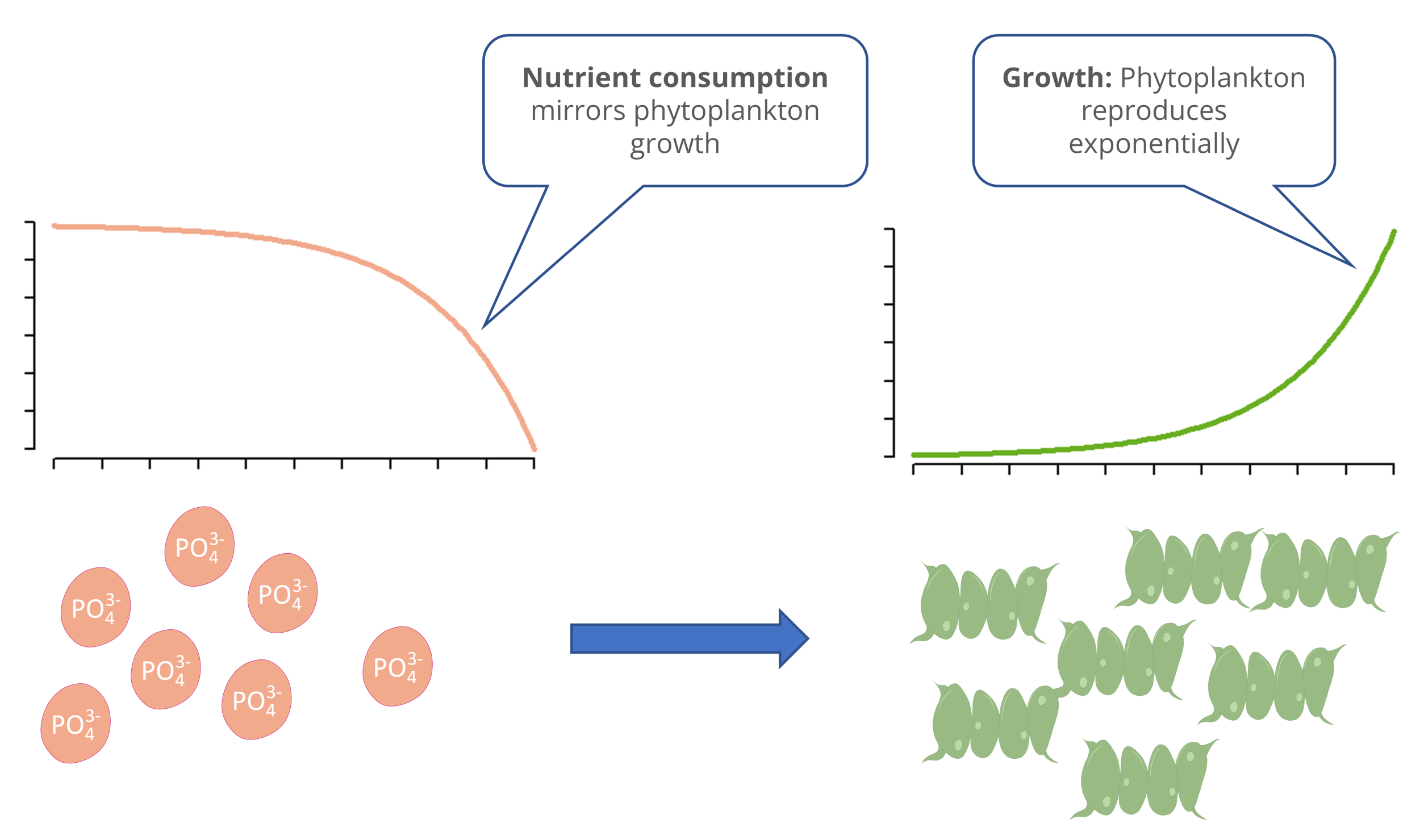 The image the temporal trend in algae abundance represented by an upward-sloping curve, while the nutrient concentration is represented by a downward-sloping S-shaped curve.